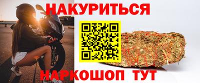 гидра Белореченск