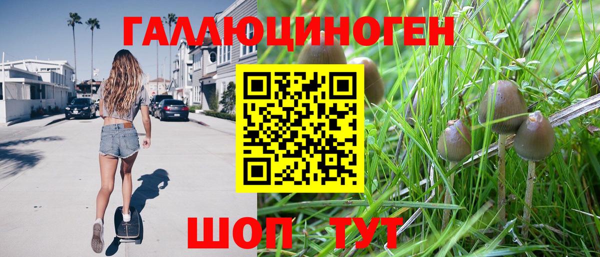 Псилоцибиновые грибы Cubensis  Вход с VPN  Батайск 